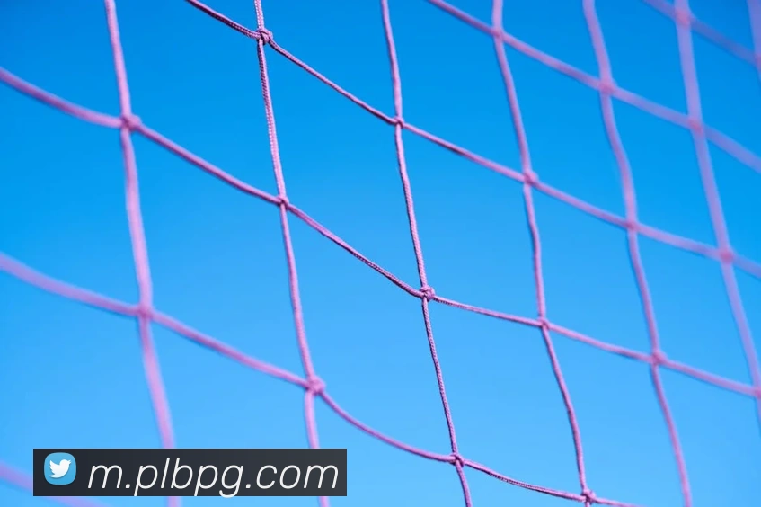 App Interface Preview